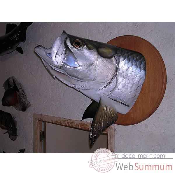 Trophee poisson d\'eau douce tropicale Cap Vert Tarpon tete -TR019