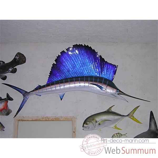 Trophée poisson des mers tropicales Cap Vert Espadon voilier -TR061