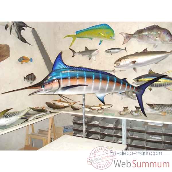 Trophee poisson des mers tropicales Cap Vert Marlin bleu -TR058