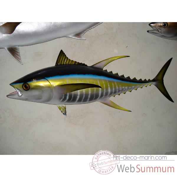 Trophee poisson des mers tropicales Cap Vert Thon jaune -TRDF67